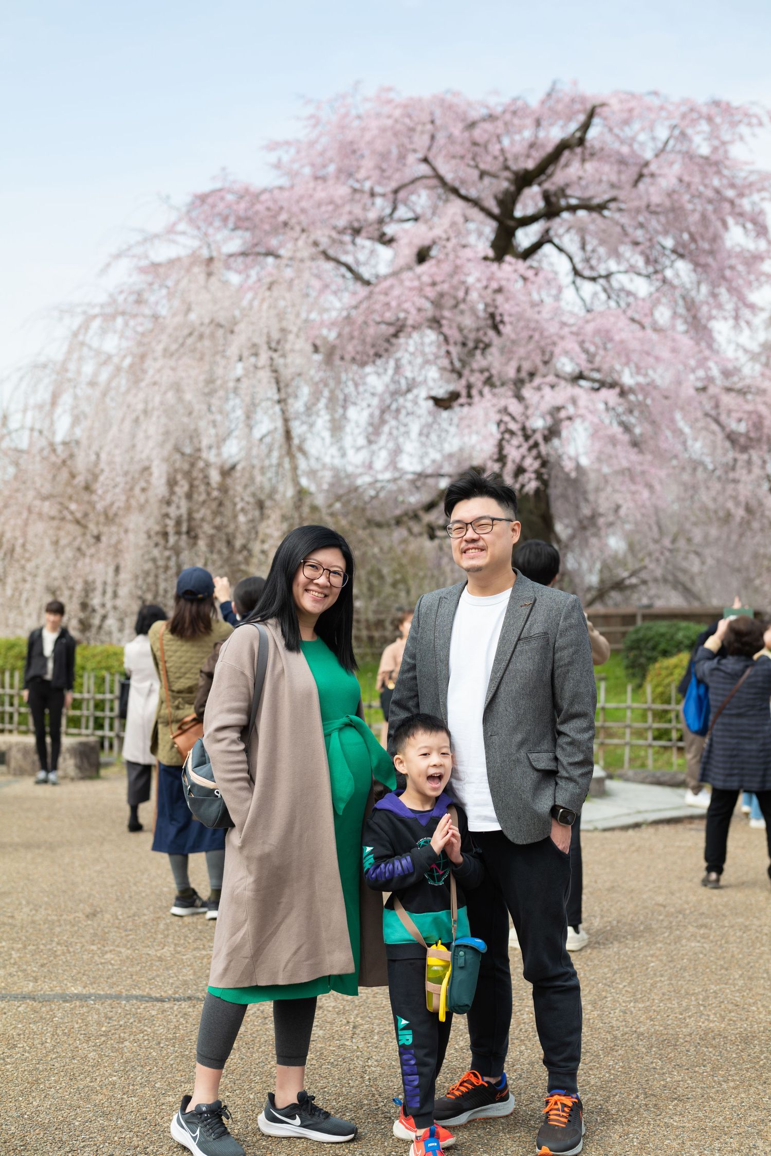 Happy Asian family of three poses in front of a stunning weeping cherry blossom tree in full bloom.