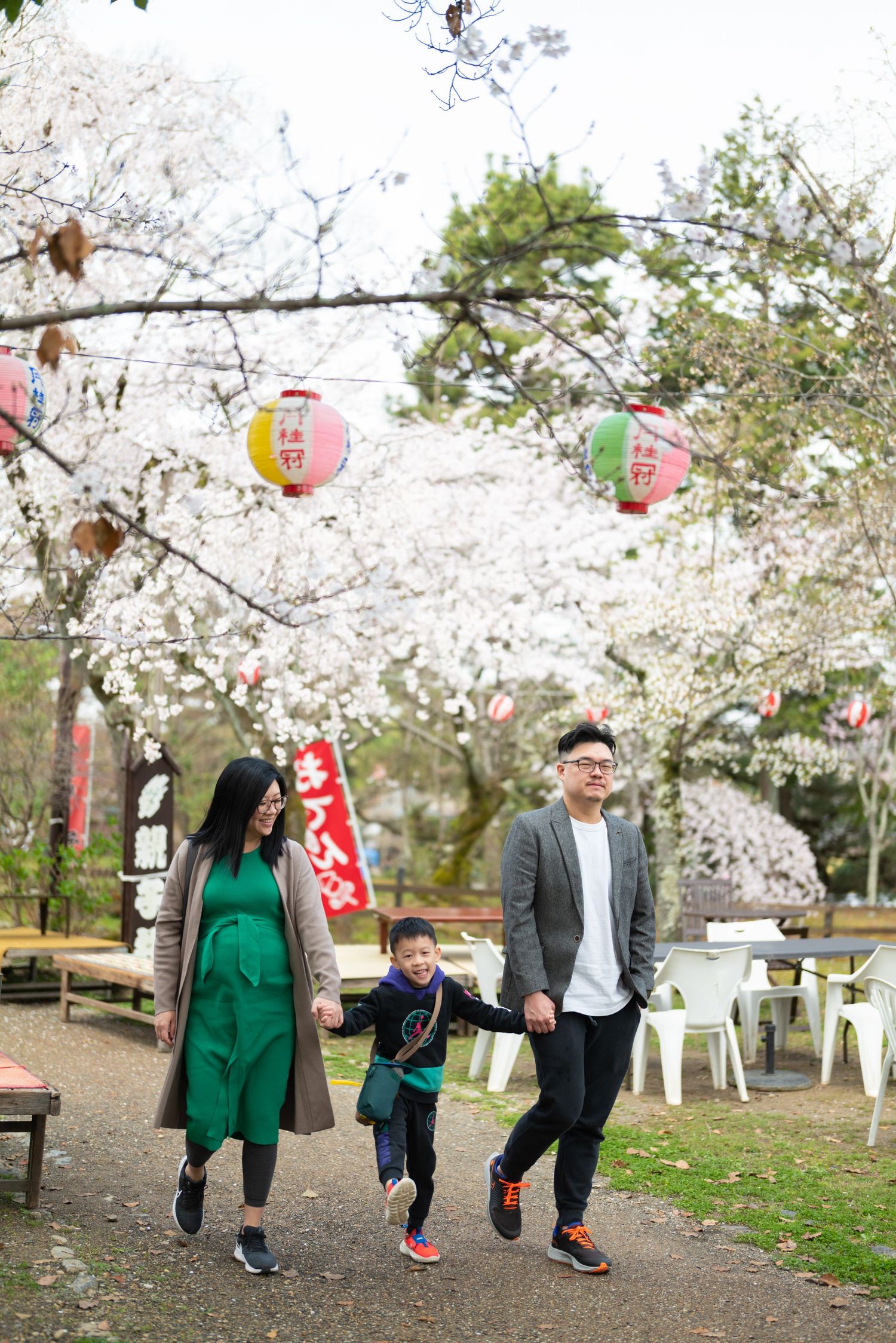 Joyful Asian family walks hand in hand under white cherry blossom trees with colorful paper lanterns.