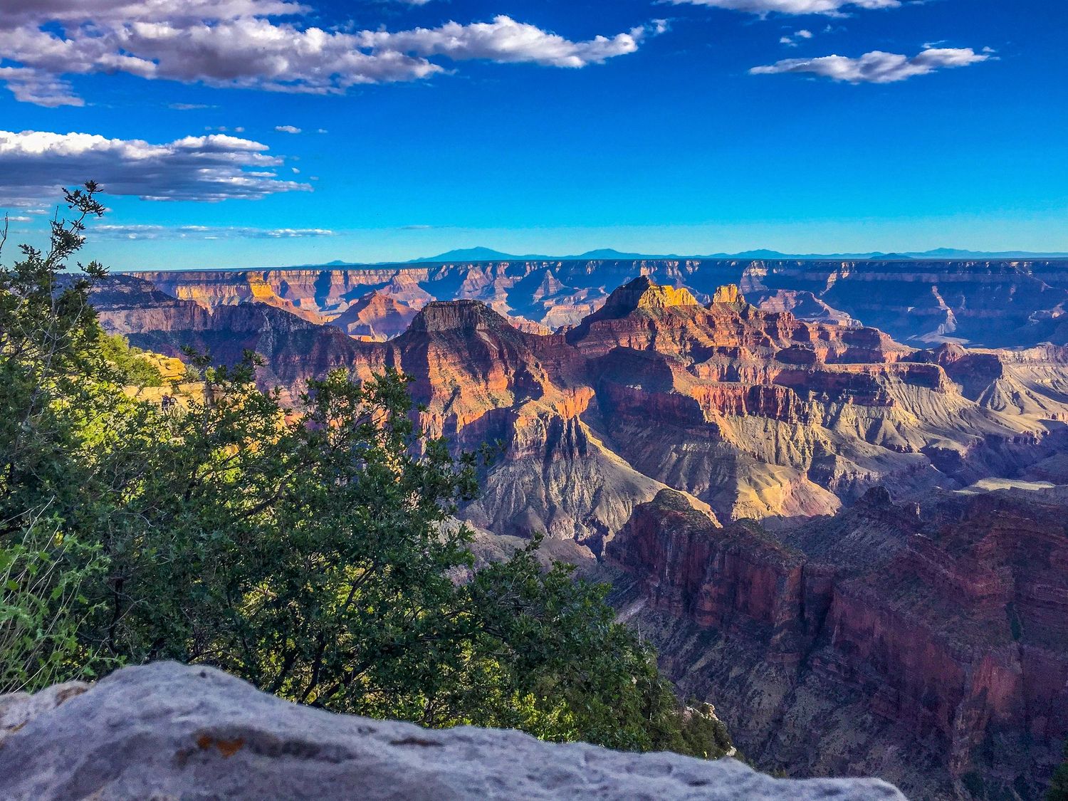 Grand Canyon in the morning