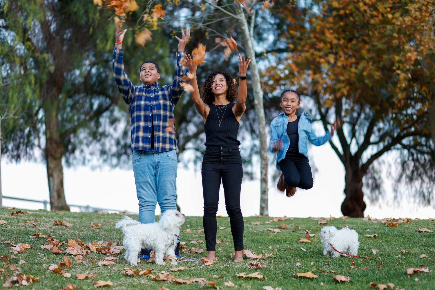 A family jumps for joy with their two small white dogs in a park with fall foliage.