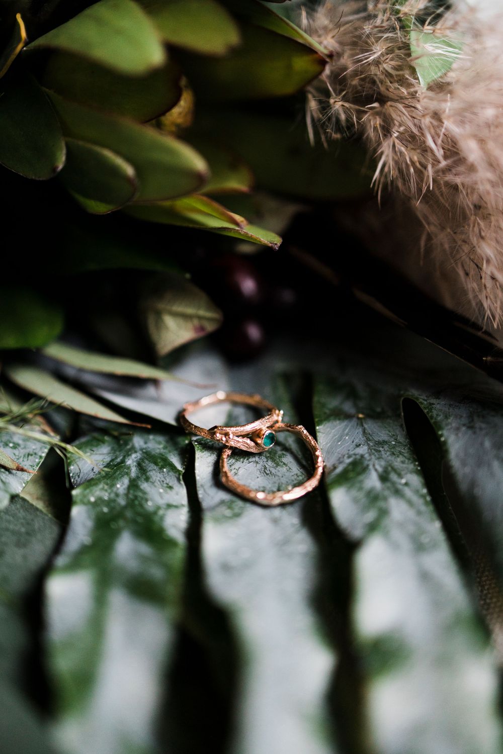 Close-up of wedding rings nestled among green leaves and natural textures.