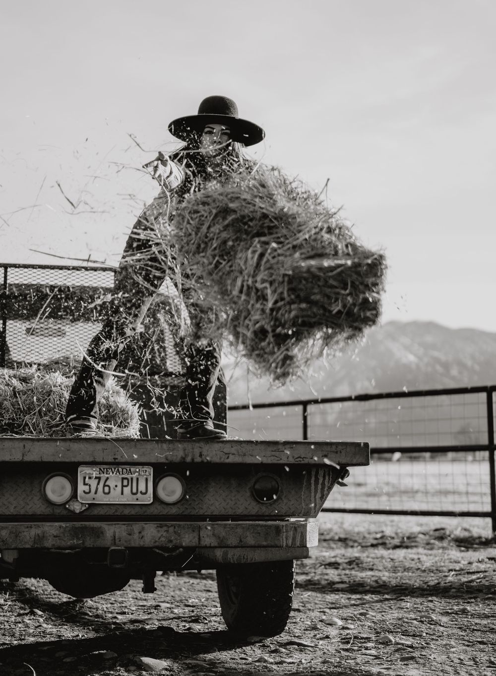 A pickup truck loaded with hay bales on a rural farm road.