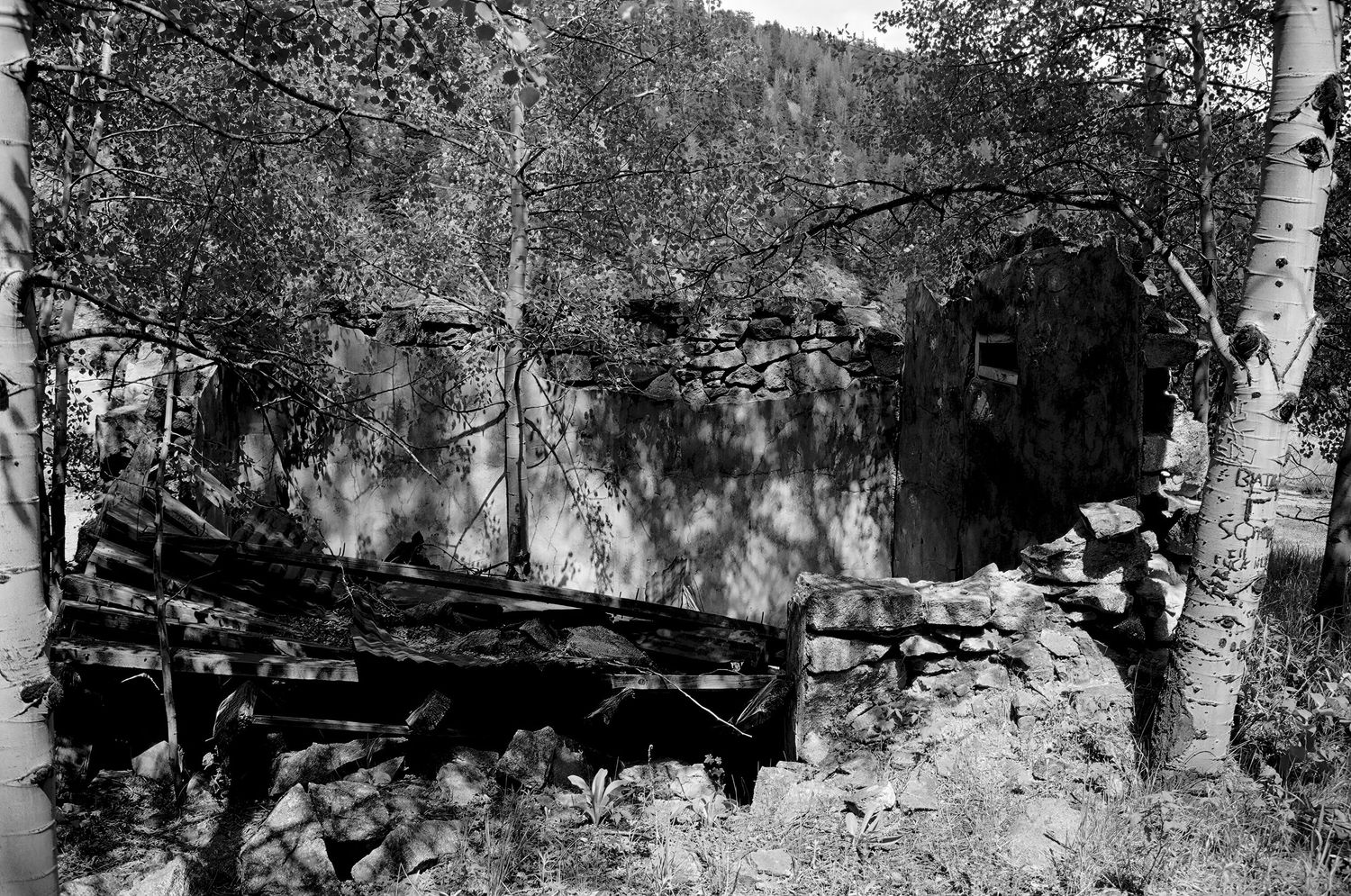 Camp Francis, Colorado