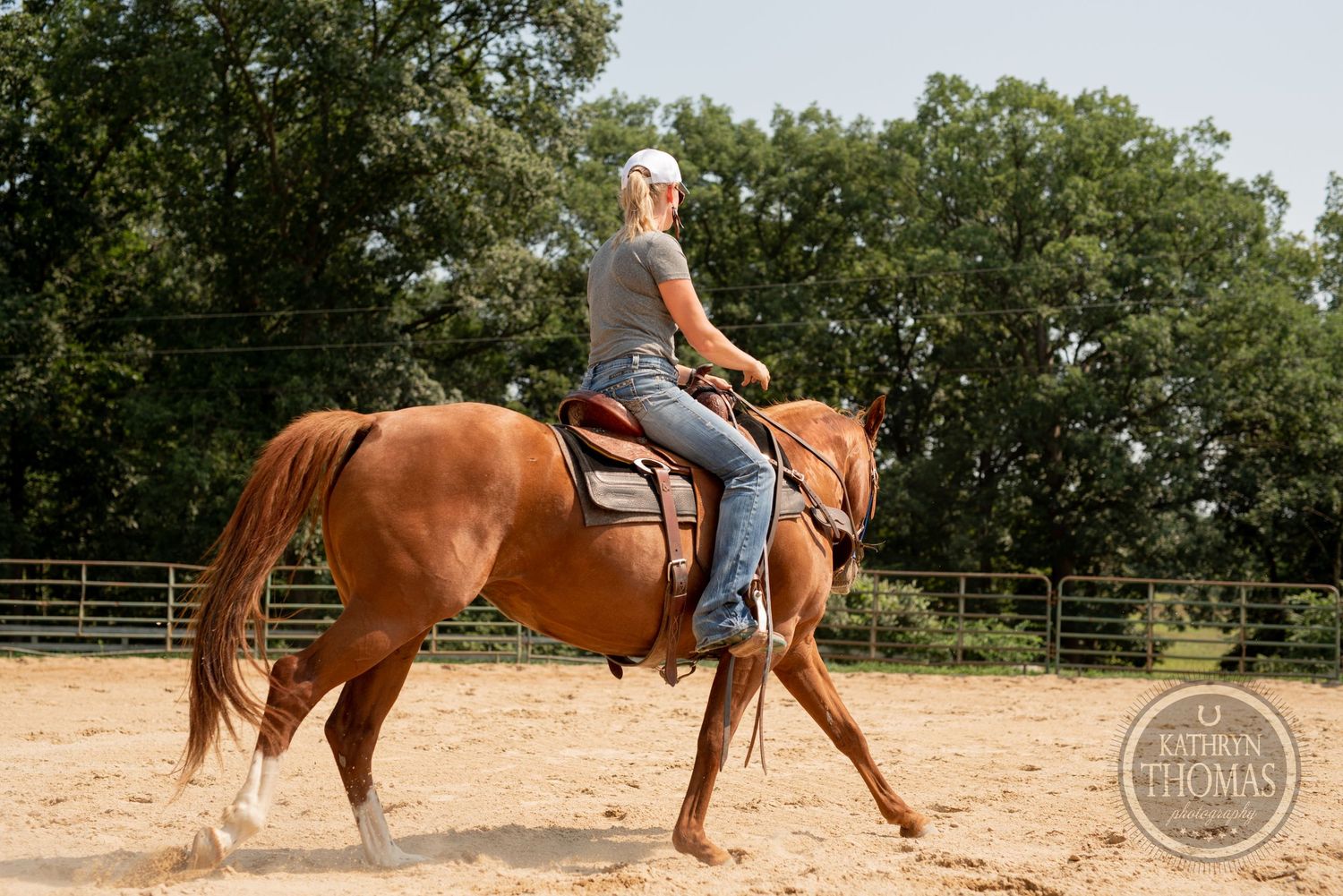 Chestnut horse and rider working in outdoor training arena.