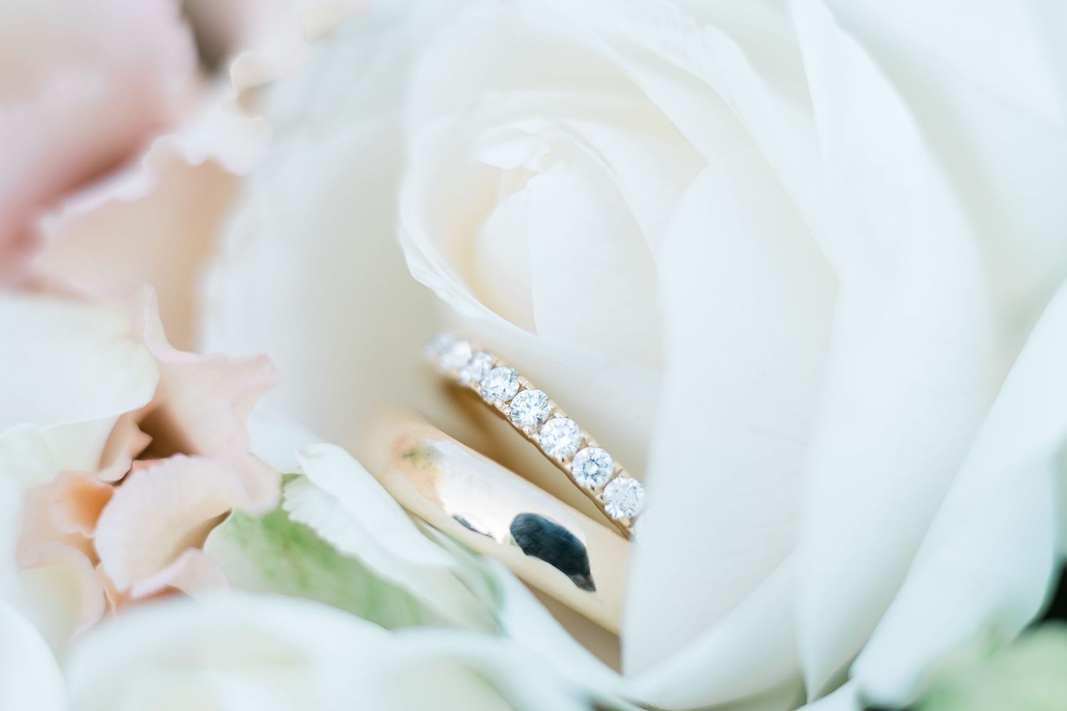 A close-up of wedding rings nestled in a white rose.