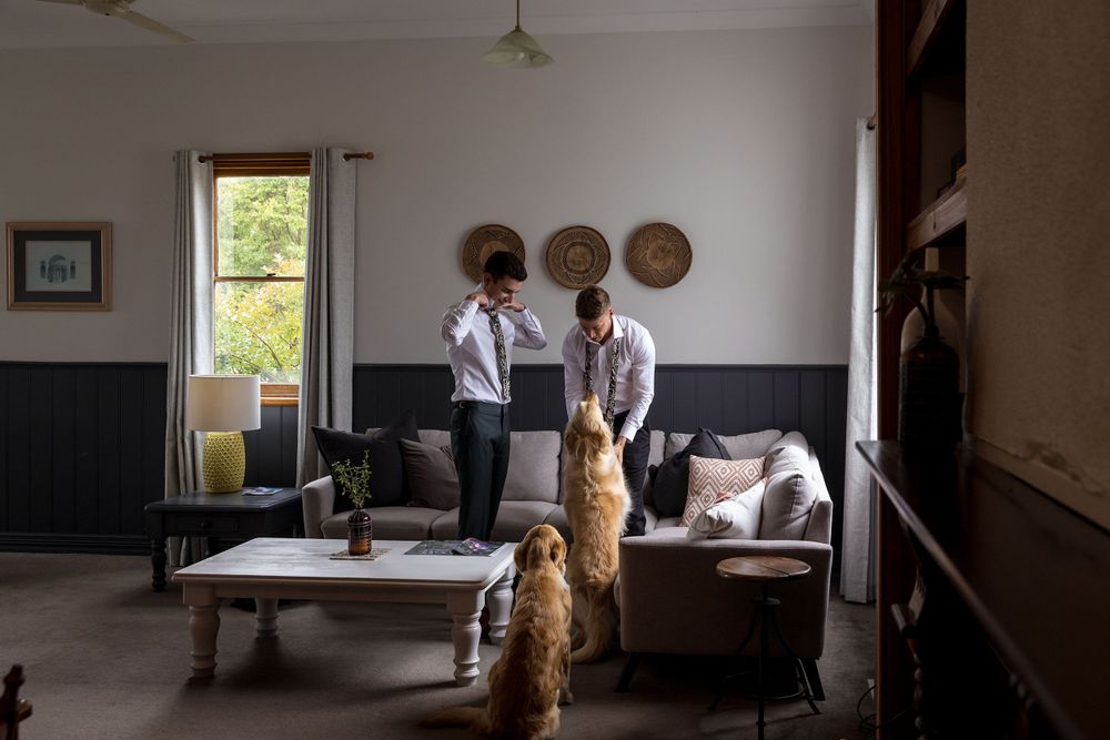 Groom with his best man tying their ties with the Golden Retriever dogs watching on before his St.Leonards Wedding