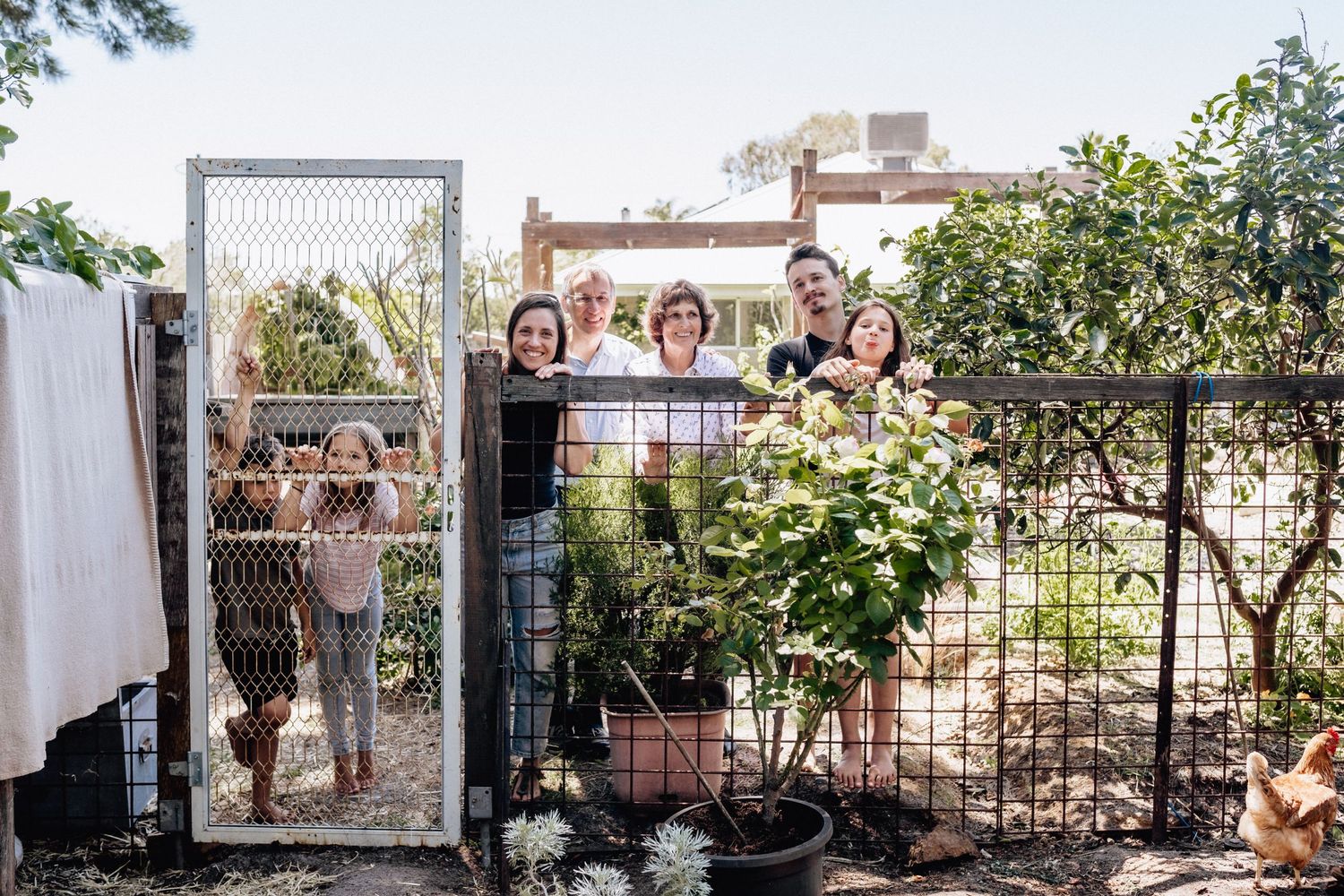 A multi-generational home hanging out by the chicken pen at their home in Perth