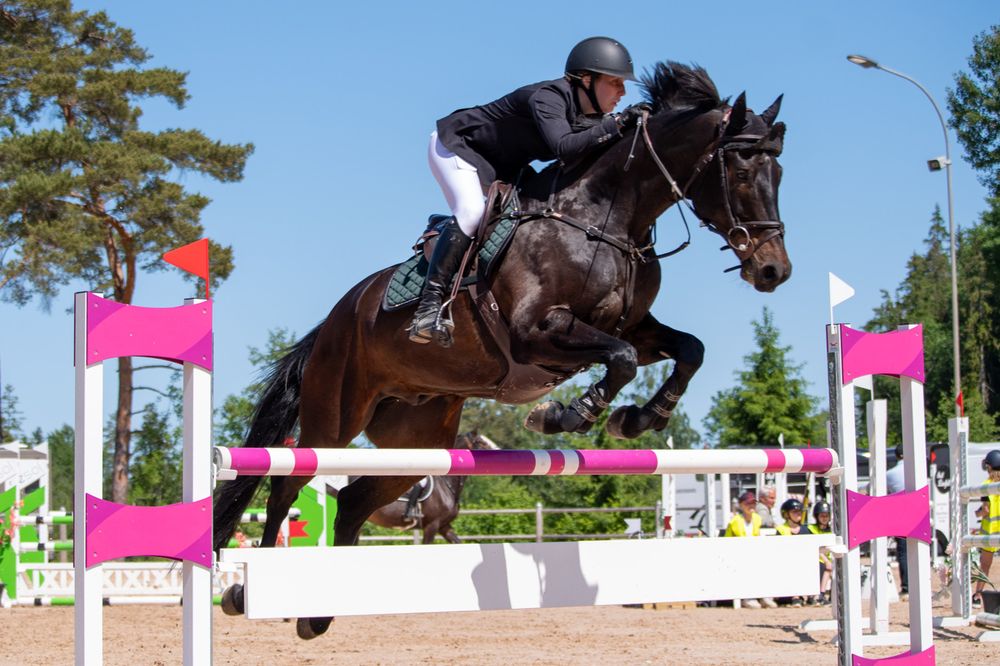 Show jumper and dark horse soaring over pink and white obstacle during competition.