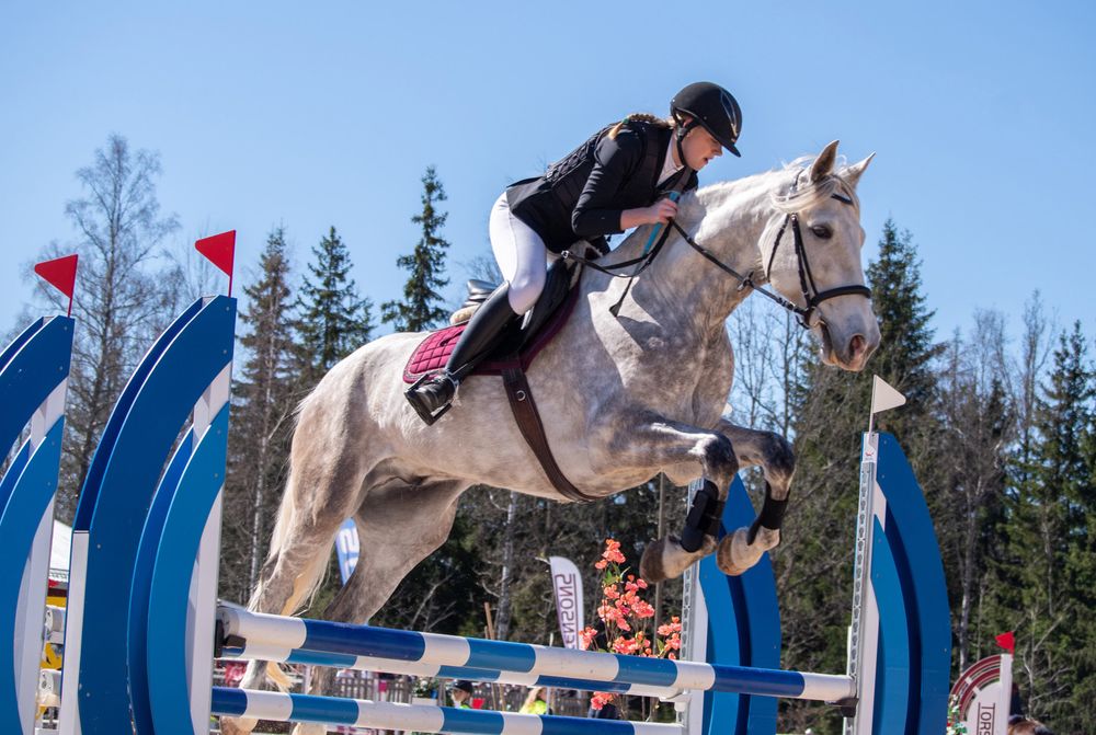 Equestrian athlete and horse clearing a blue and white jump during competition.