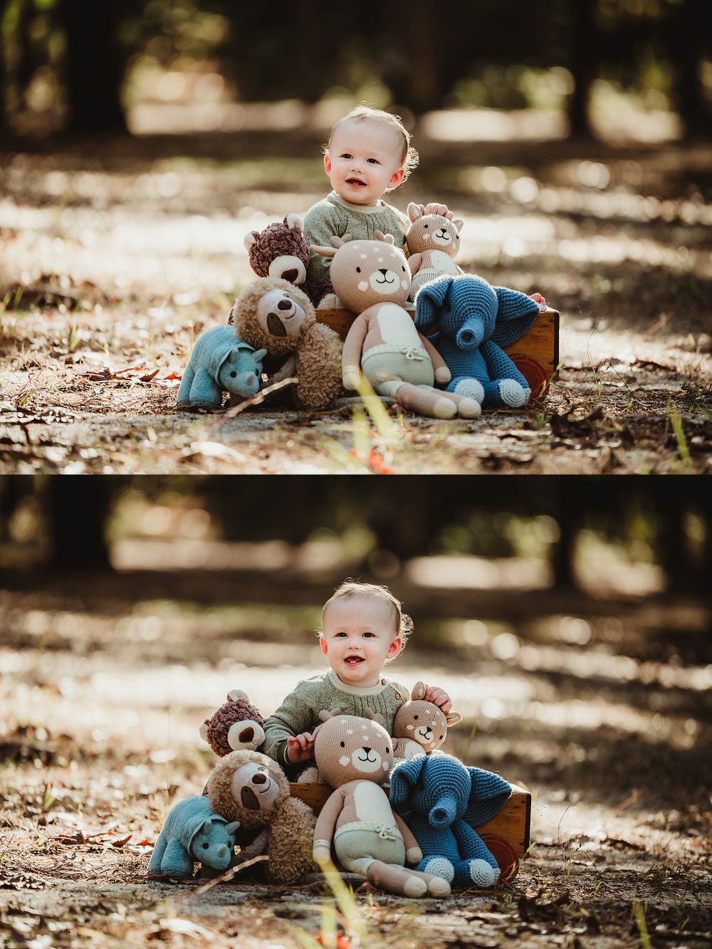 Sweet photo session in sunny forest setting with collection of stuffed animal friends.