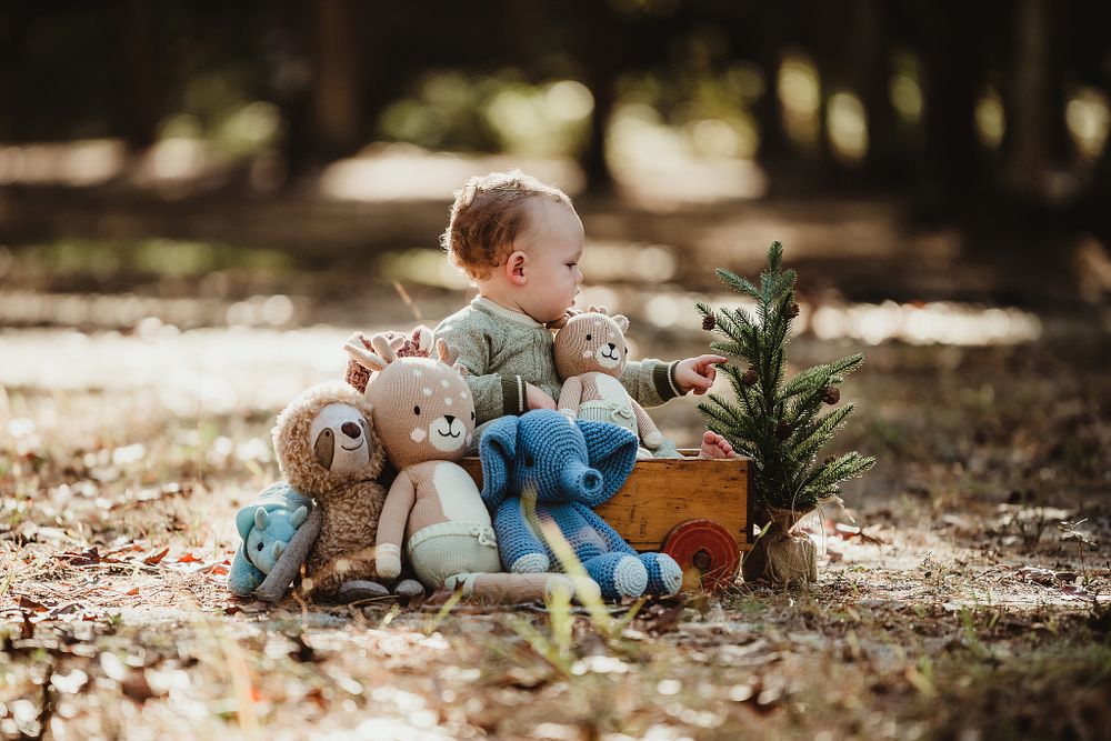 Outdoor portrait with collection of plush animals and small evergreen tree in wooden box.