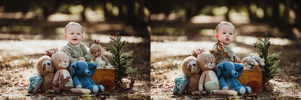 Joyful outdoor photo session with stuffed animals, small tree and vintage wooden crate.