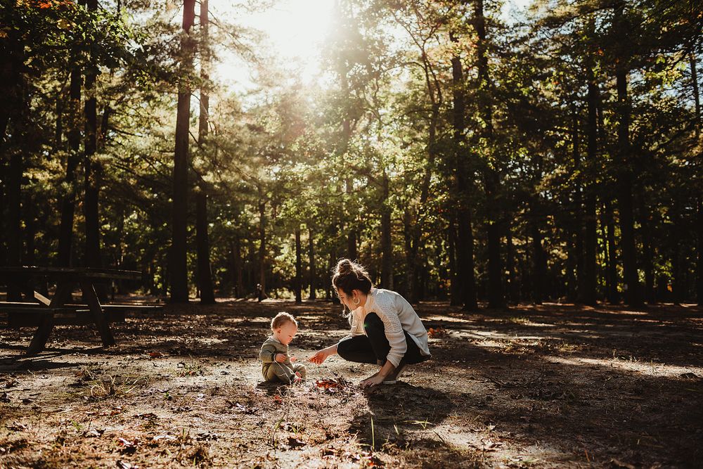 Warm sunbeams shine through forest trees during outdoor family time.