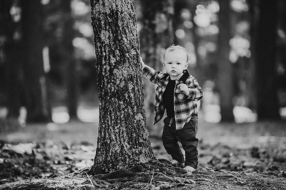 Small child in plaid shirt standing by tree trunk in forest.