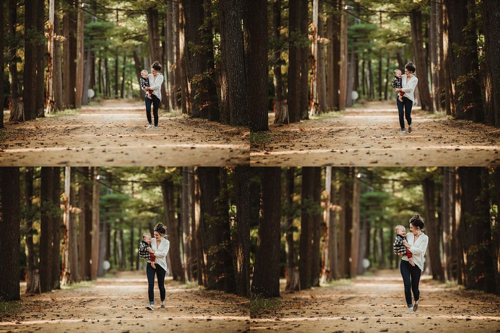 Series of photos showing a walk through a majestic tree-lined path.