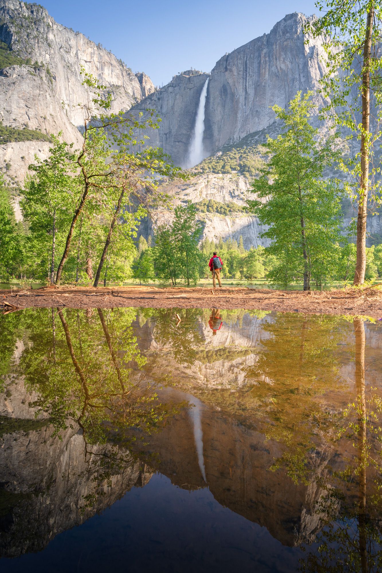 Yosemite Falls reflects in a still pond surrounded by trees as a distant figure admires the majestic waterfall.