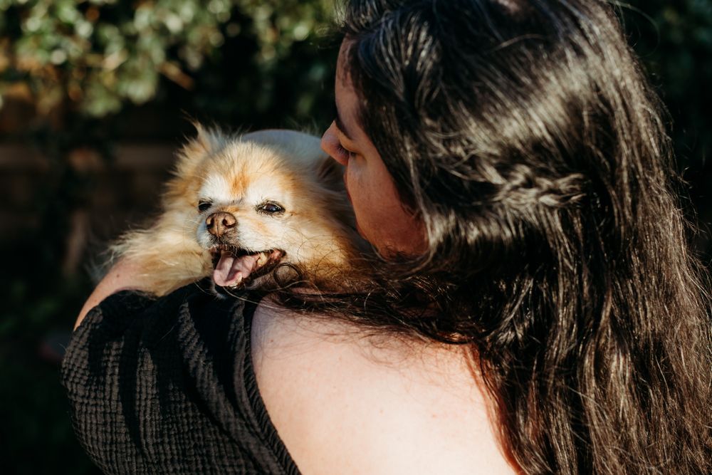 pet photography