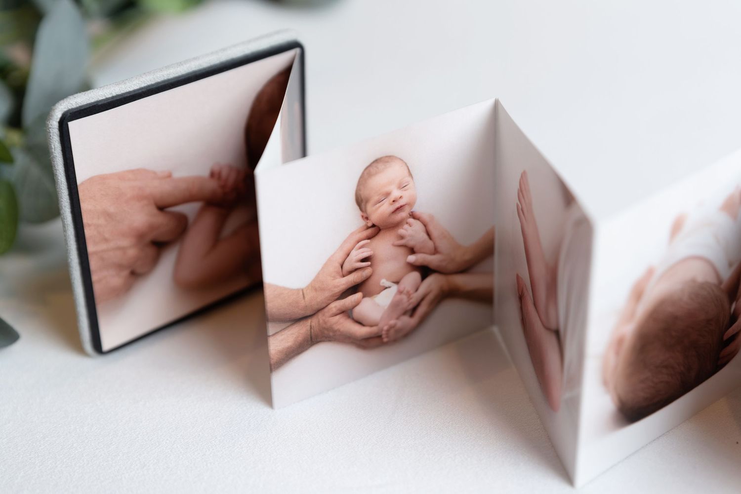 Mini accordion album products