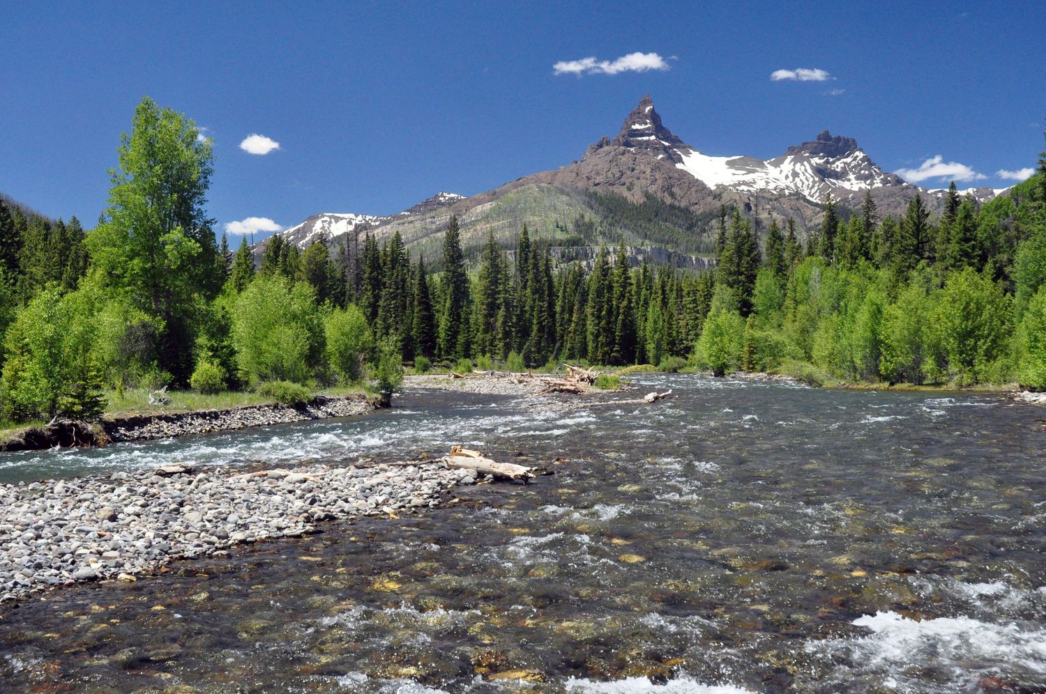 Beartooth Mountain Montana