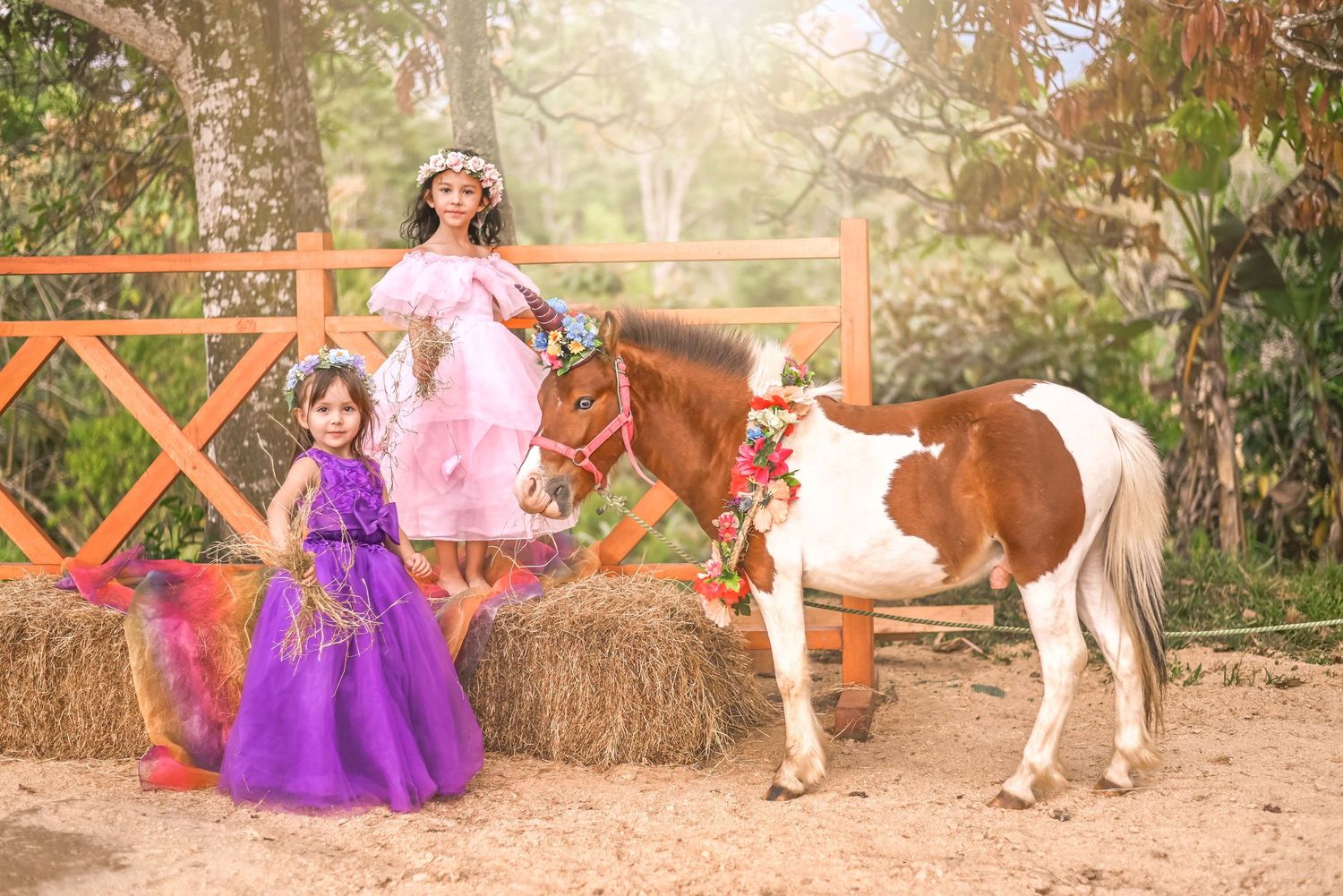 A pink and purple princess-themed photoshoot featuring a decorated pony and floral hay bale backdrop.