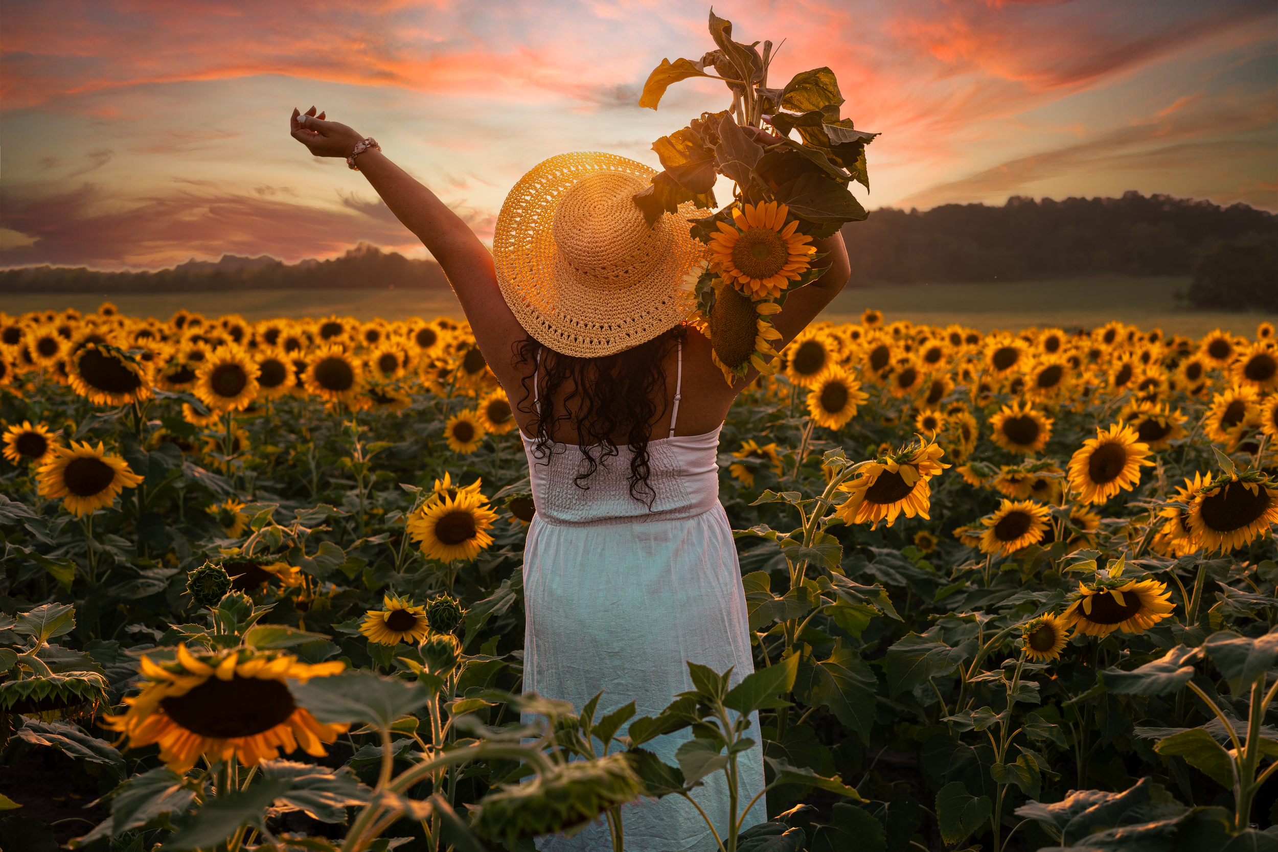 Sunflower Photoshoot. Northern Virginia sunflower farm