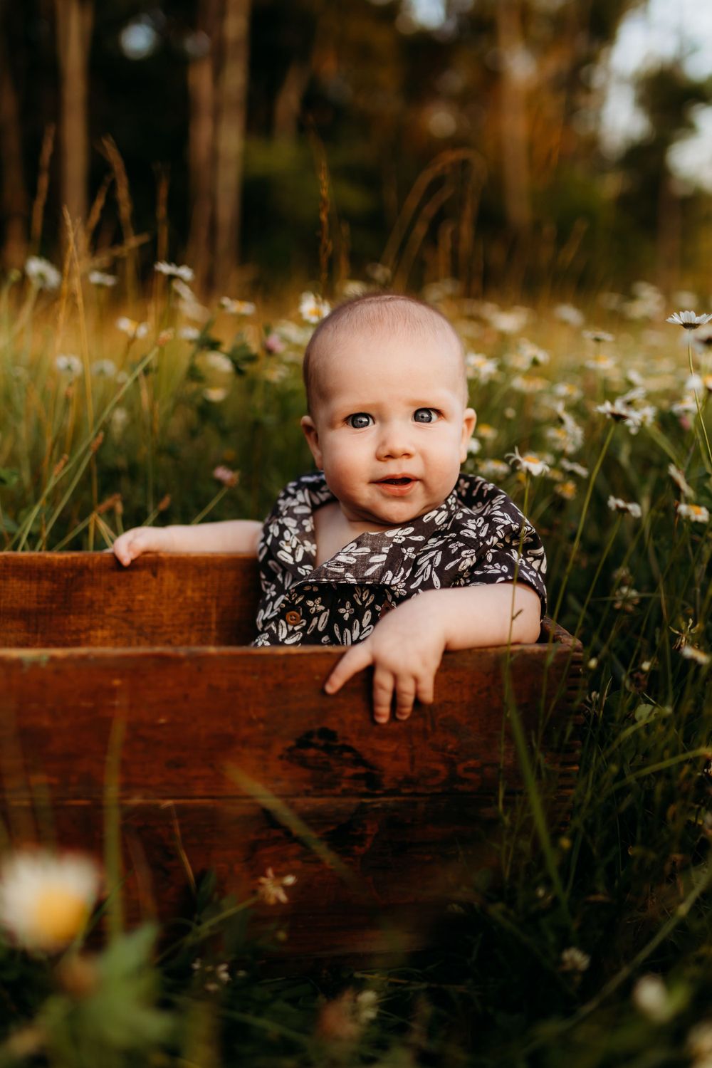 Happy baby sitting in wooden box surrounded by wildflowers in outdoor nature setting.