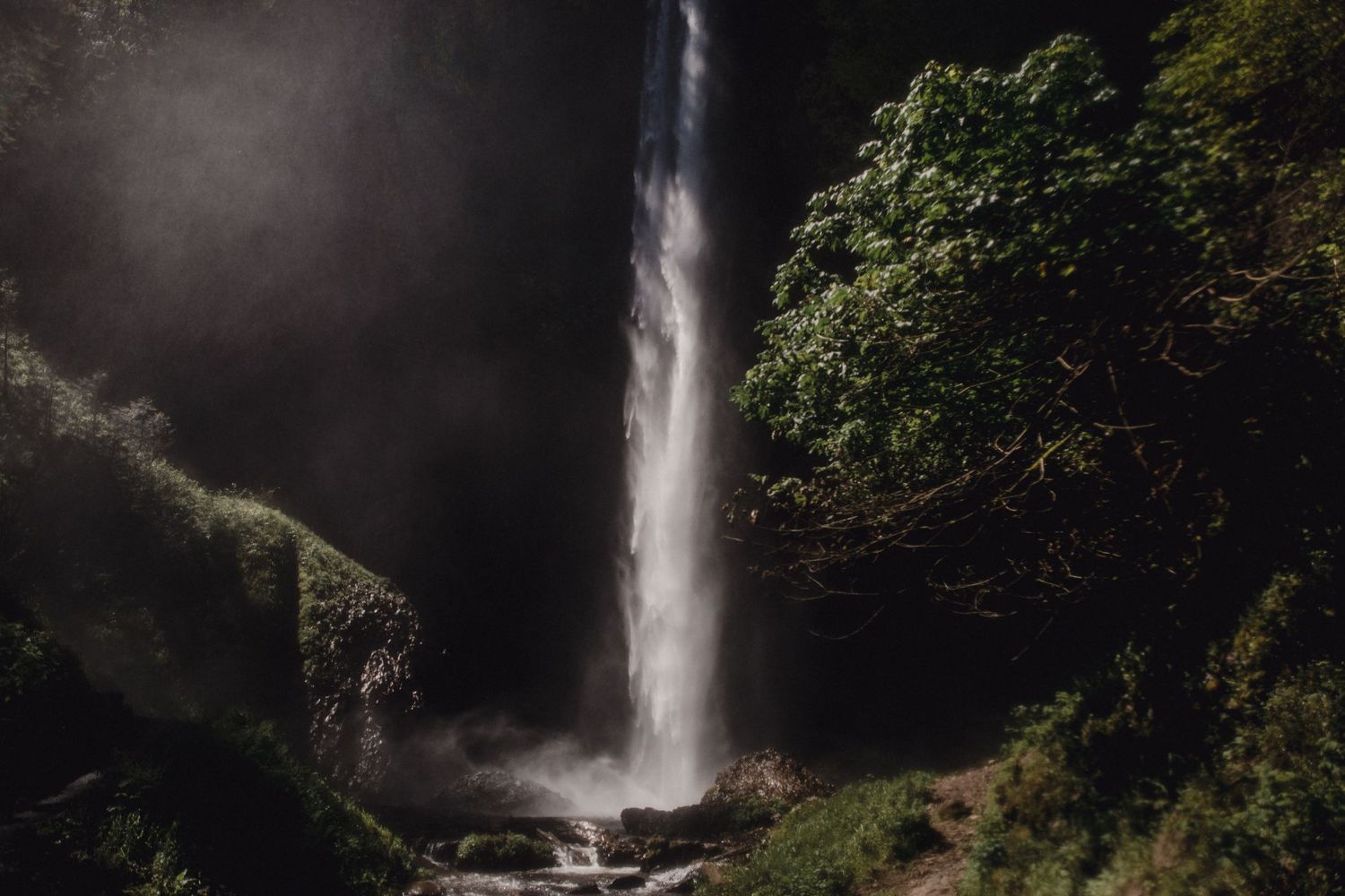 Majestic waterfall cascading down moss-covered cliffs in a lush forest setting.