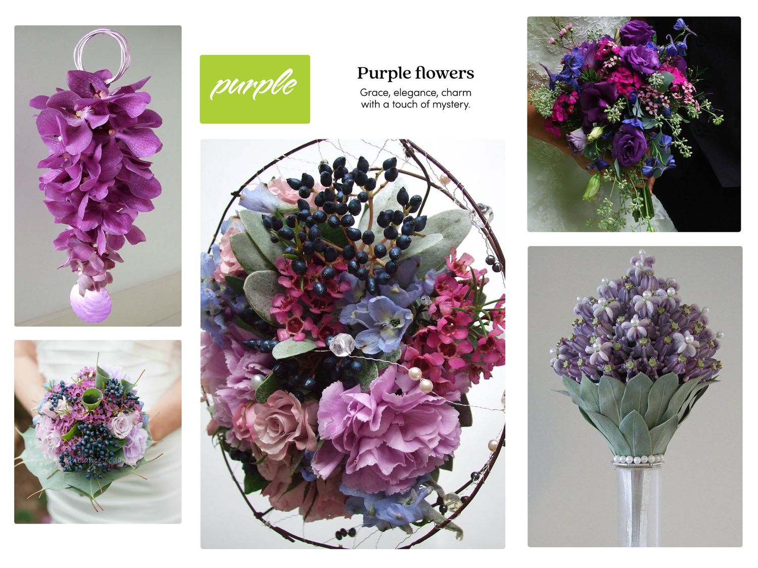 Purple flowers represent grace, elegance, charm.