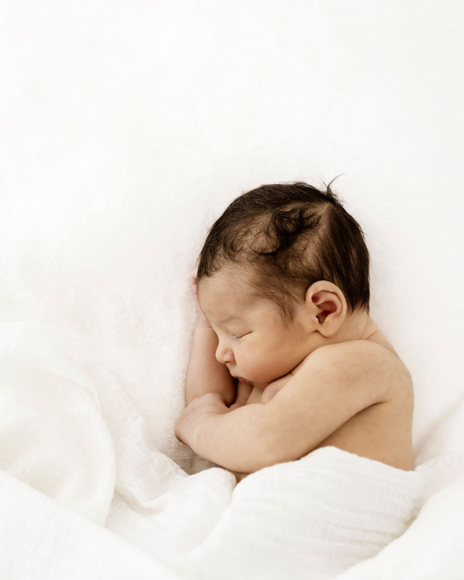 In-home newborn photoshoot Sydney