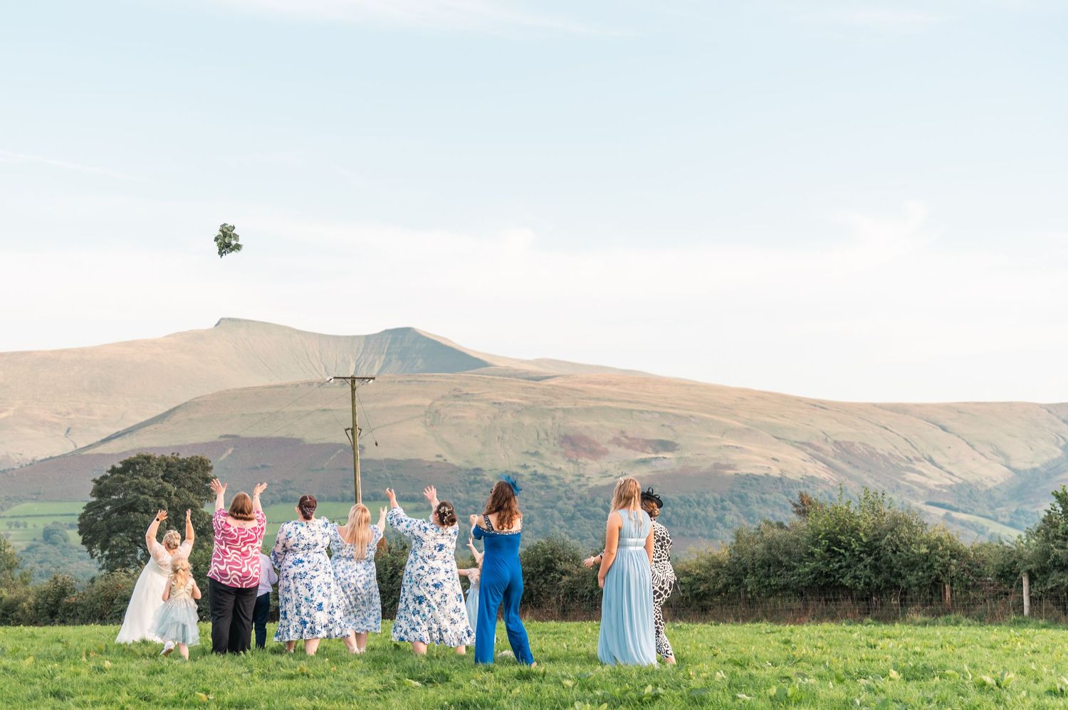 Wedding party gathered in a green field with rolling hills and mountains in the background.