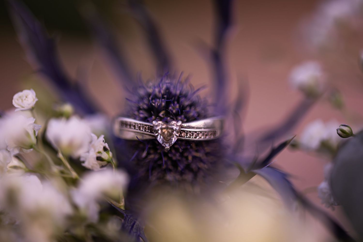 Artistic macro shot of purple flowers with shallow depth of field.