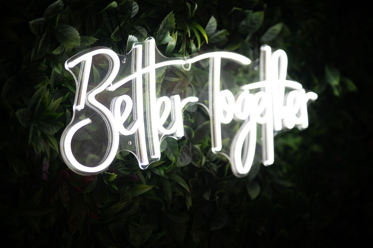 White neon text signs mounted on a dark wall with greenery.