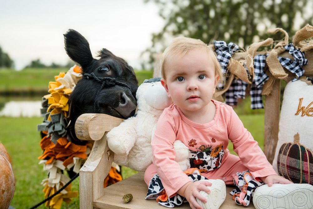 Baby in pink clothing sits on outdoor furniture next to plush stuffed animals and fall decor.