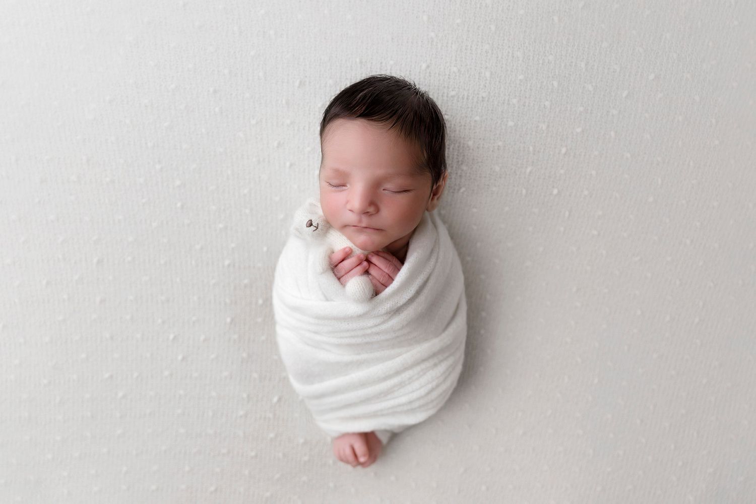 Swaddled newborn peacefully sleeping against minimalist white background.