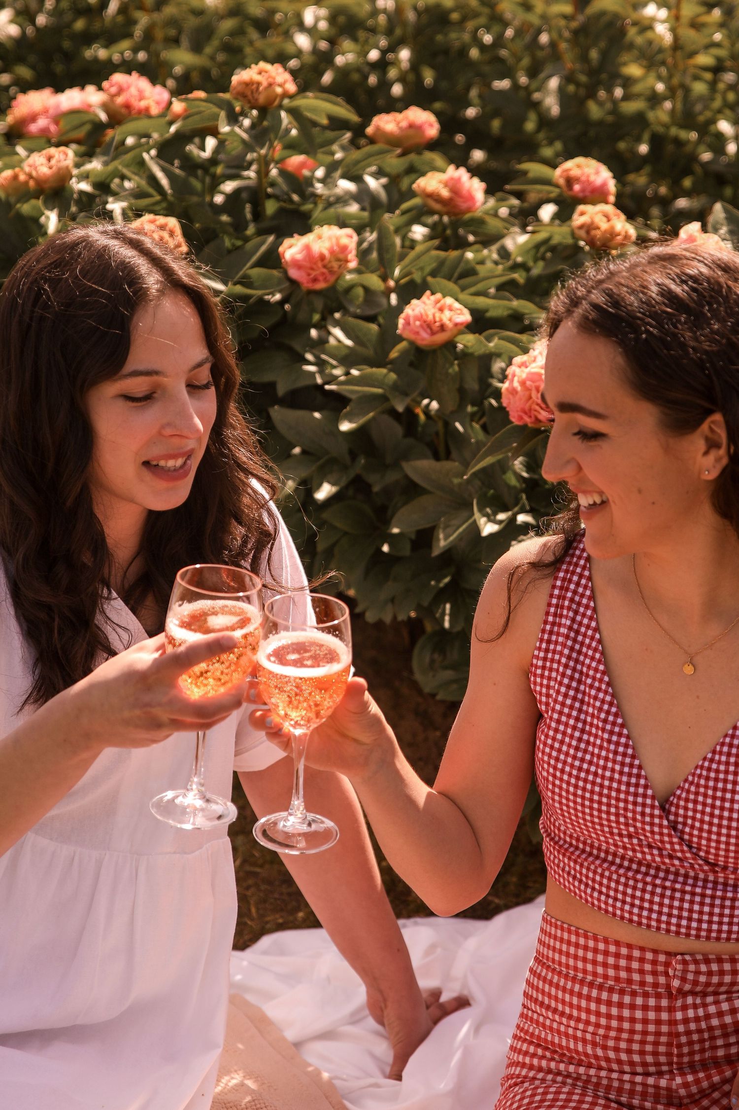 Two friends toasting with wine glasses in front of blooming coral roses on a sunny afternoon.