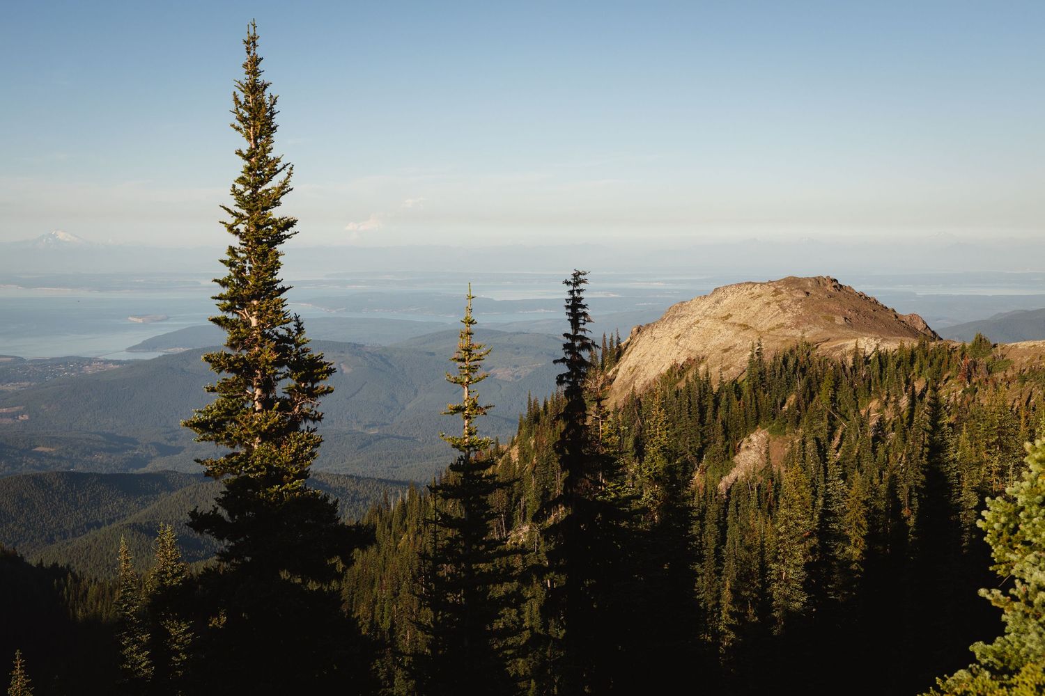 Panoramic mountain vista with tall evergreen trees and a rocky peak under a clear blue sky.