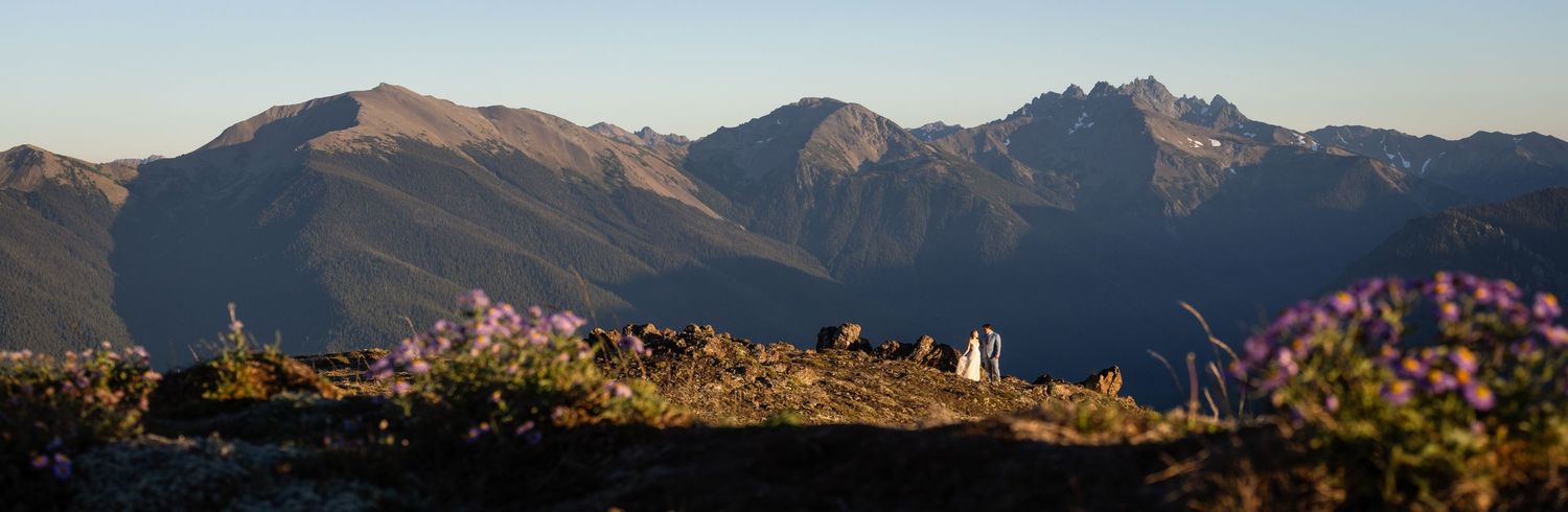Couple elopes on rocky mountain summit surrounded by purple wildflowers and dramatic peaks at golden hour.