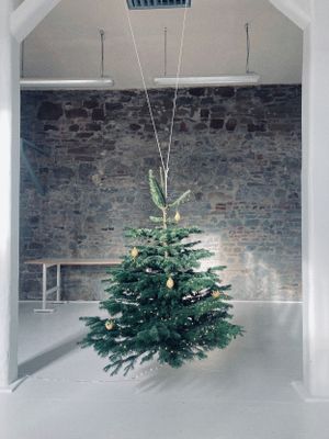 Der hängende Weihnachtsbaum...kehr alle Jahre wieder zurück. Auf einer Weihnachtsfeier weihen wir ihn jährlich ein.