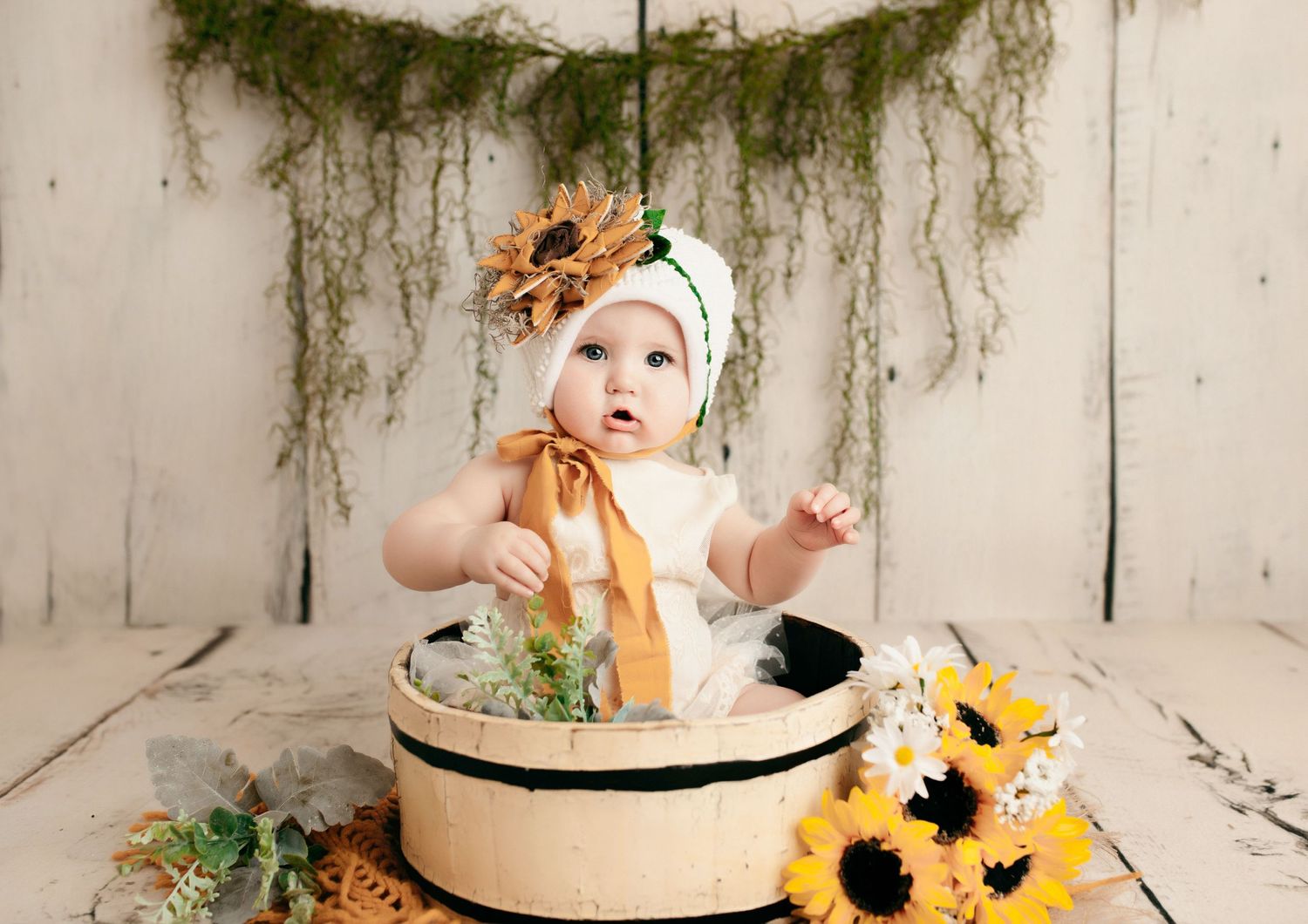 Jackson Ohio Studio Photographer
