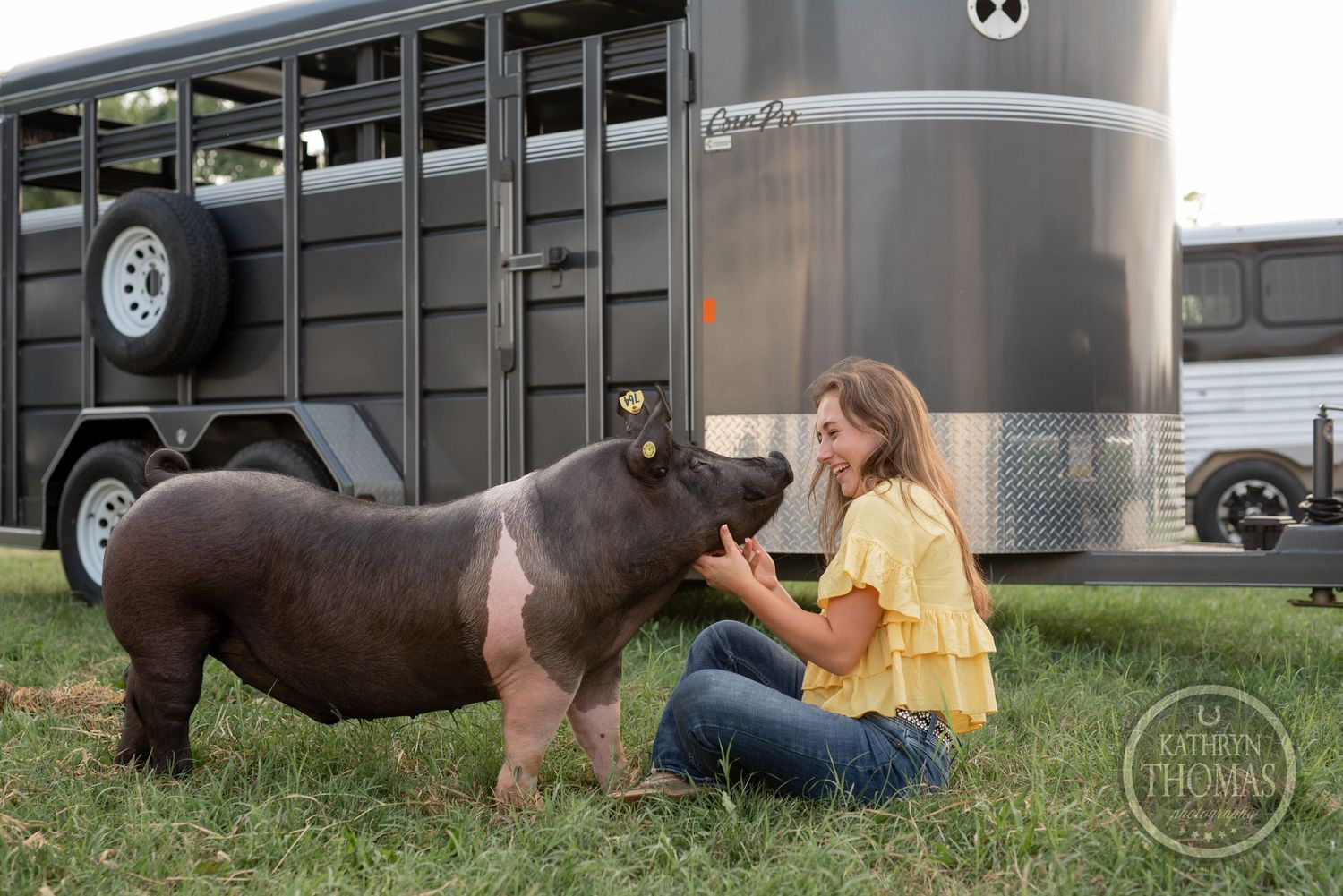 A show pig with black and pink coloring receives attention and care beside a horse trailer.