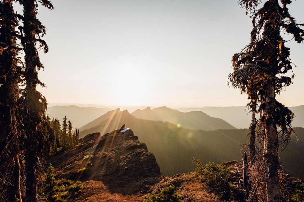 Stunning mountain sunset landscape with sun rays streaming through tall evergreen trees over rocky terrain.