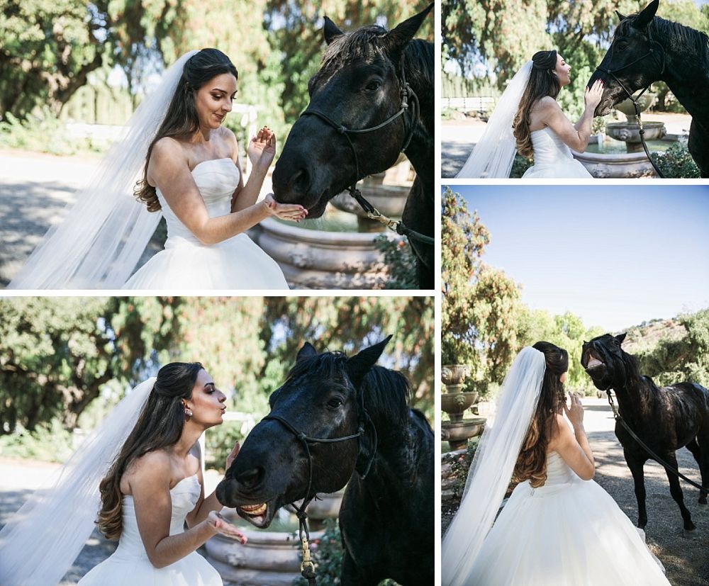 A bride in a white wedding dress poses with a majestic black horse in an outdoor garden setting.