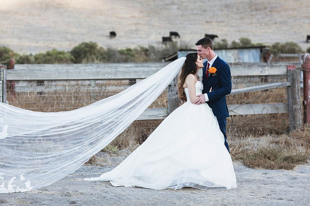 A couple embraces on their wedding day, with a flowing long veil billowing in the wind against a rustic fence backdrop.