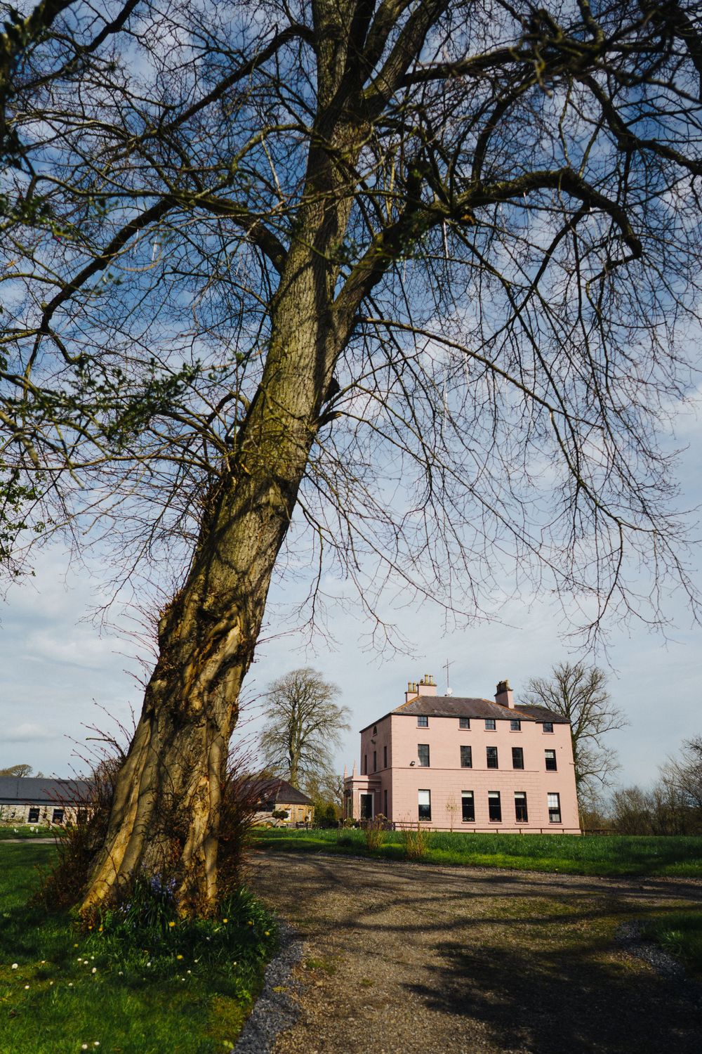 A pink historic house viewed through bare tree branches against a blue sky.