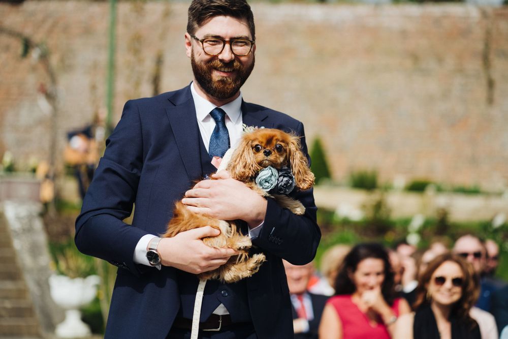 A small brown dog being held during an outdoor wedding ceremony with guests seated in background.