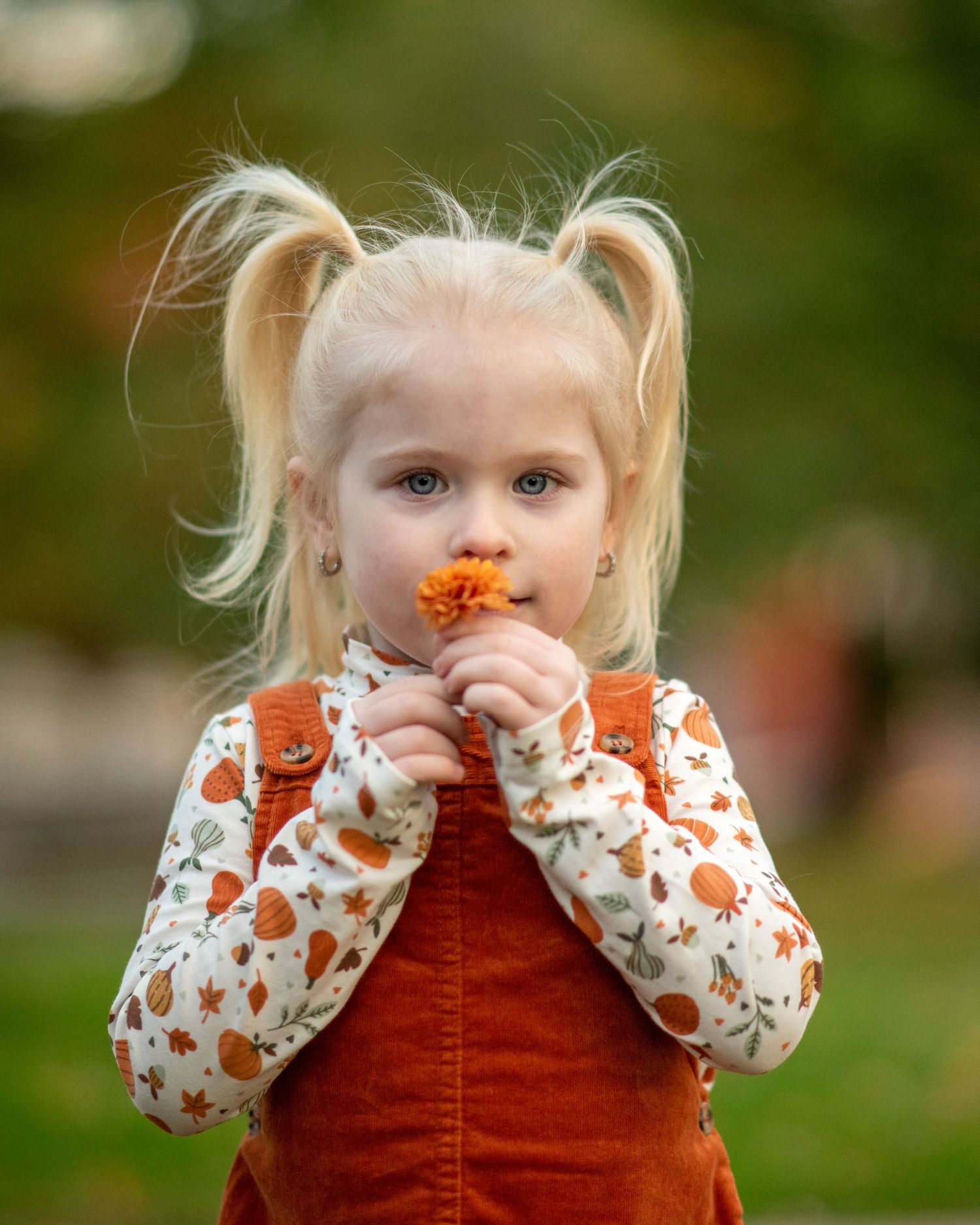 fall portraits kids and family autumn