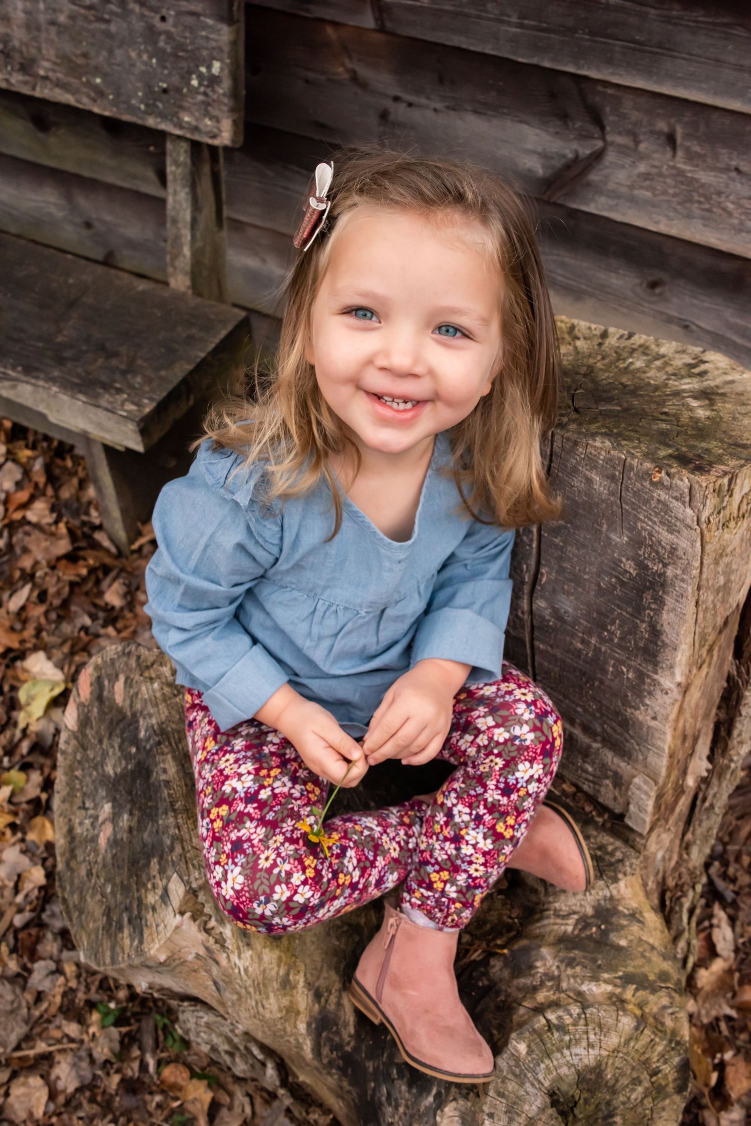 fall autumn family portraits Pittsburgh