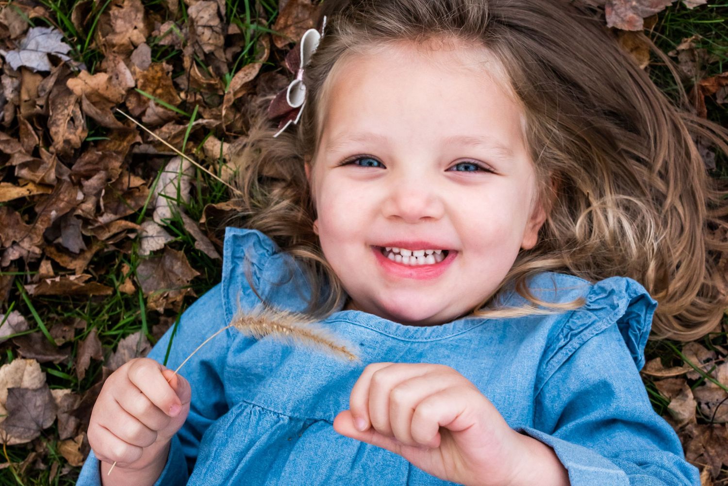 fall autumn family portraits Pittsburgh