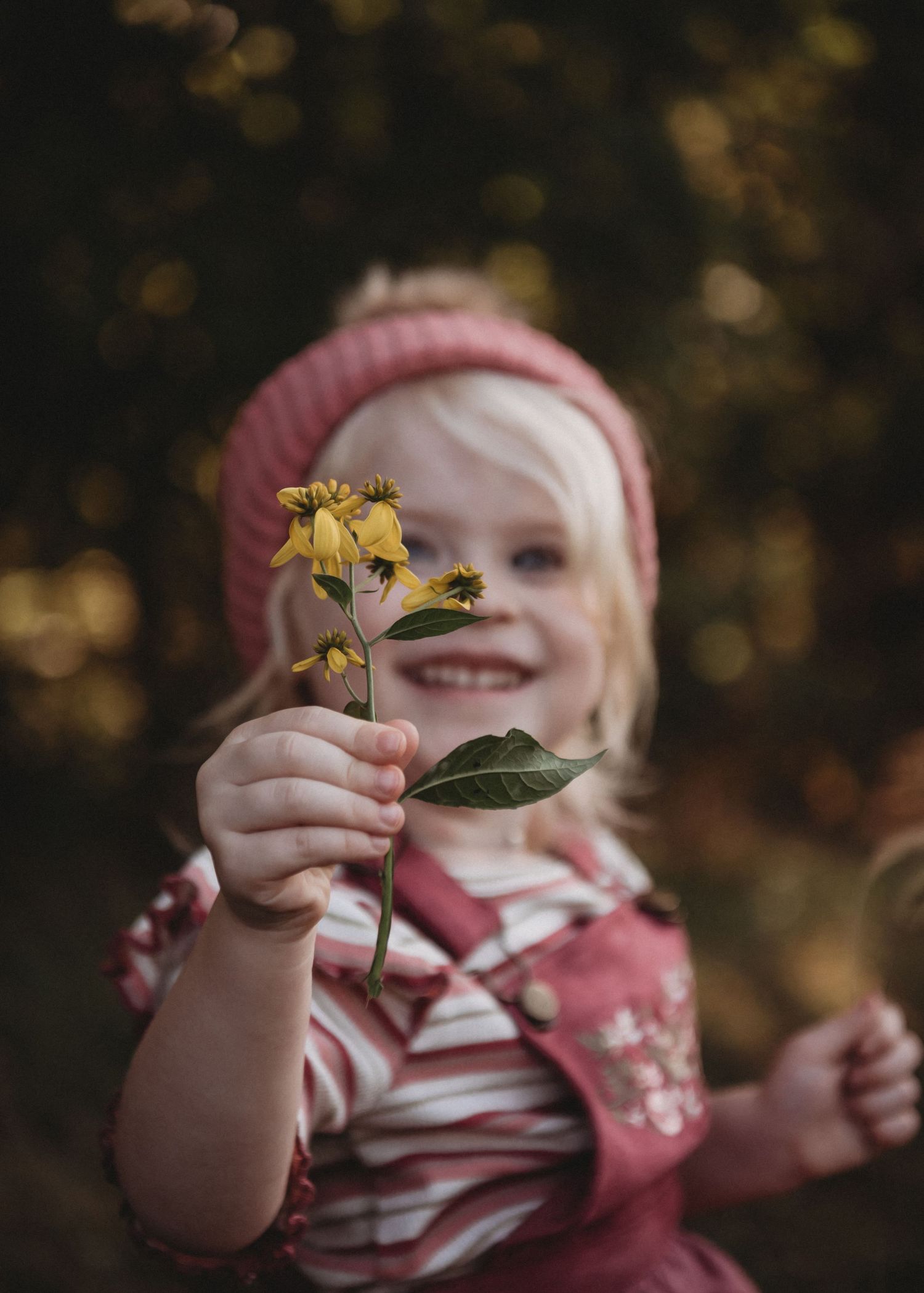 fall portraits kids and family