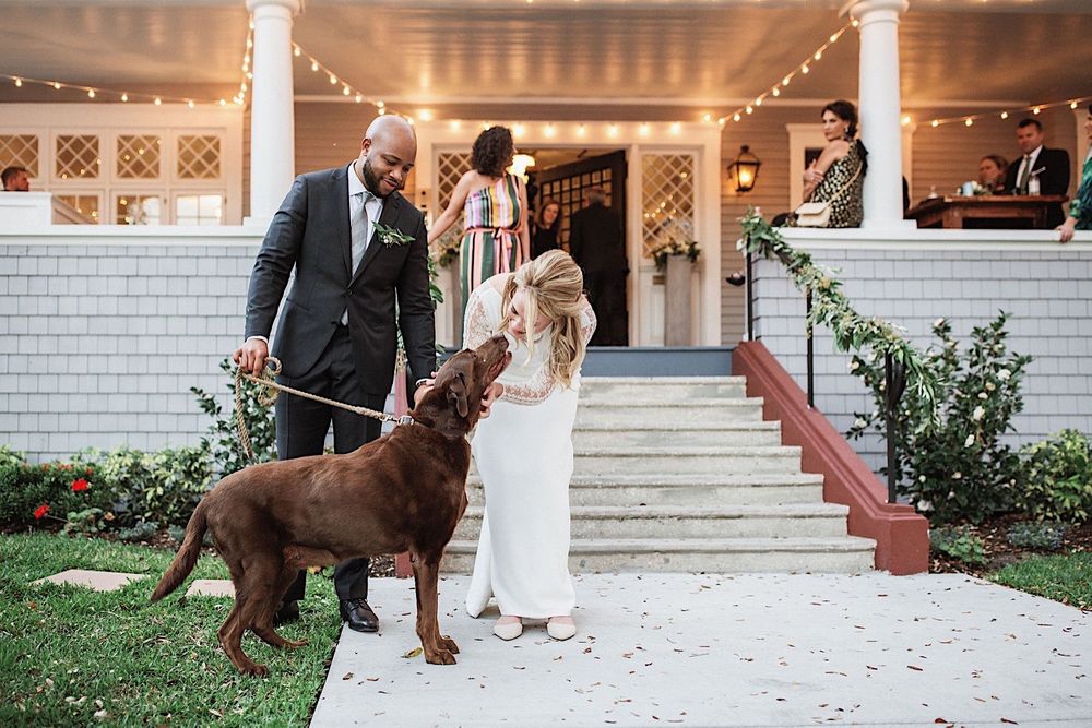 bride greeting her dog at her wedding